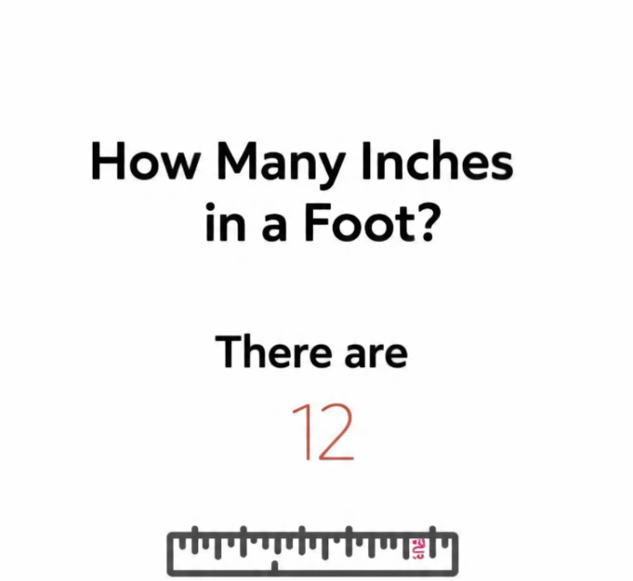 How many inches in a foot