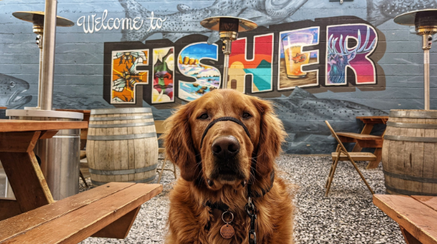 dog friendly restaurants utah